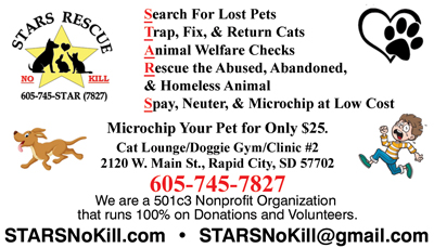 STARS No Kill Rescue Services